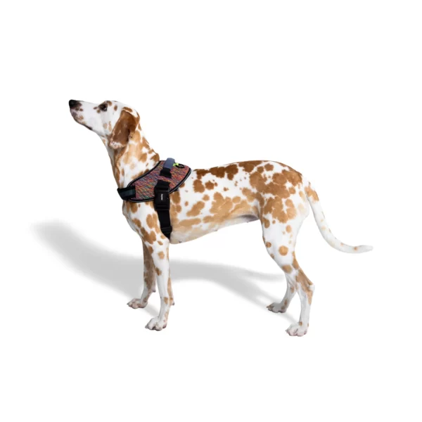 Zeedog flyharness dog harness, Vortex